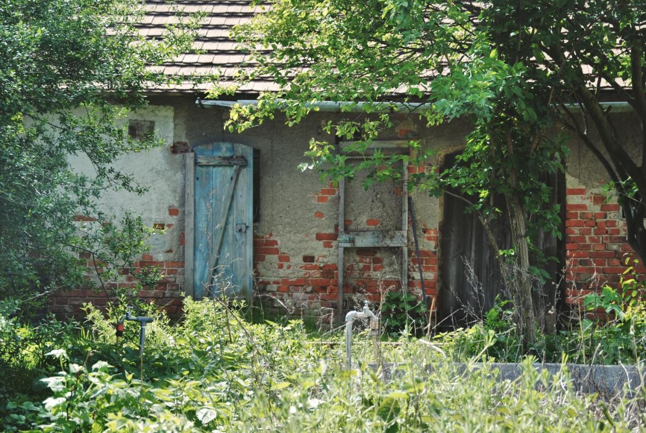 Ferienhaus Erna Doberlug-Kirchhain Exterior photo